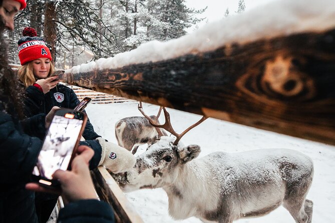 1 Day Pass Lapland Winter Park in Rovaniemi - Who will enjoy this most
