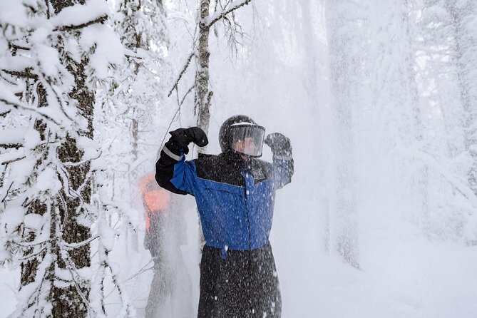1 Hour Easy Snowmobile Safari in Levi - Forest tracks, frozen lakes, and photo stops