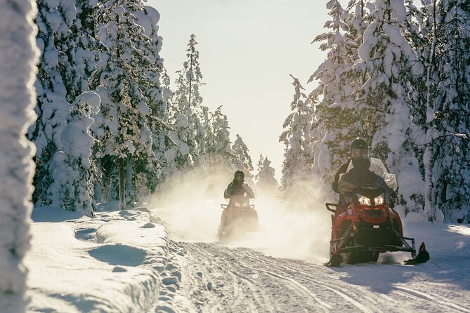 1 Hour Easy Snowmobile Safari in Levi - Who will enjoy this safari most