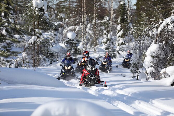 1-Hour Snowmobile Safari Adventure in Rovaniemi - Starting at Rovakatu 24 in Rovaniemi