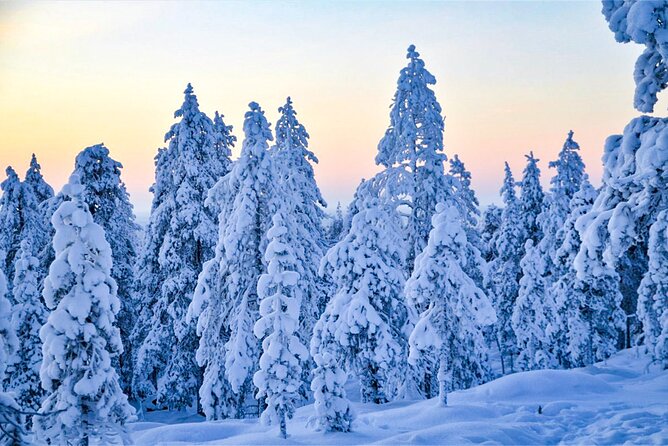 1-Hour Snowmobile Safari Adventure in Rovaniemi - Cold, comfort, and the shorter route