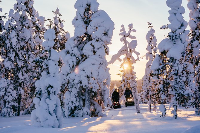 1-Hour Snowmobile Safari Experience - Starting at Santa Claus Village