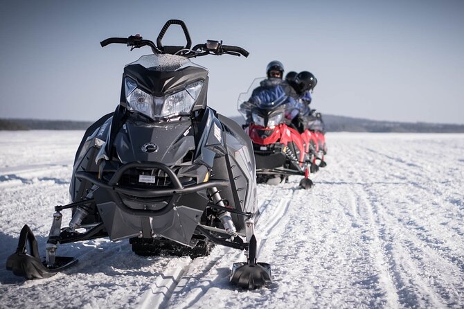 2 Hours Snowmobile Safari to the Levi Nature - What children and families should expect