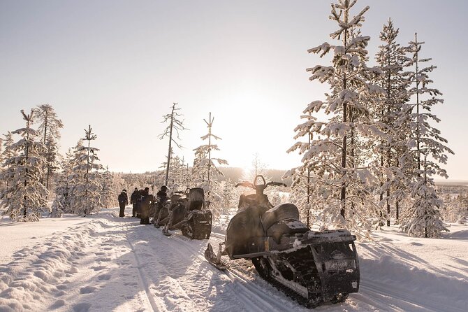 2 Hours Snowmobile Safari to the Levi Nature - Frozen lakes, open swamps, and snowy forest tracks