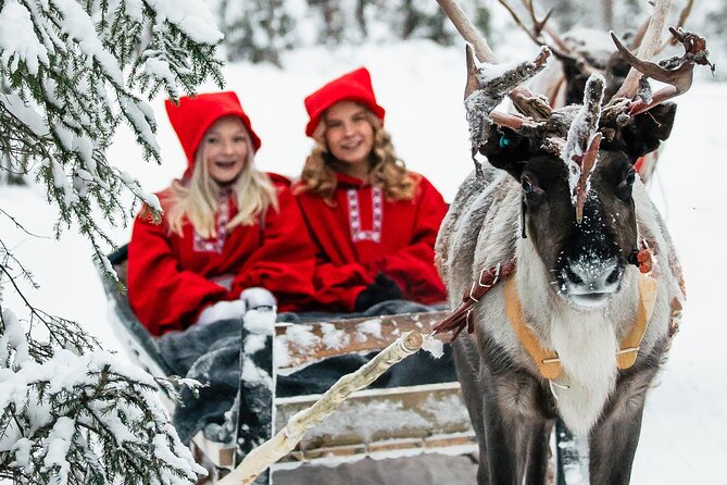 2km Sleigh Ride & Feeding Experience at Traditional Reindeer Farm - Leaving Rovaniemi for a Traditional Reindeer Farm