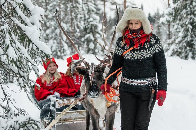 2km Sleigh Ride & Feeding Experience at Traditional Reindeer Farm - Is $116 Good Value?