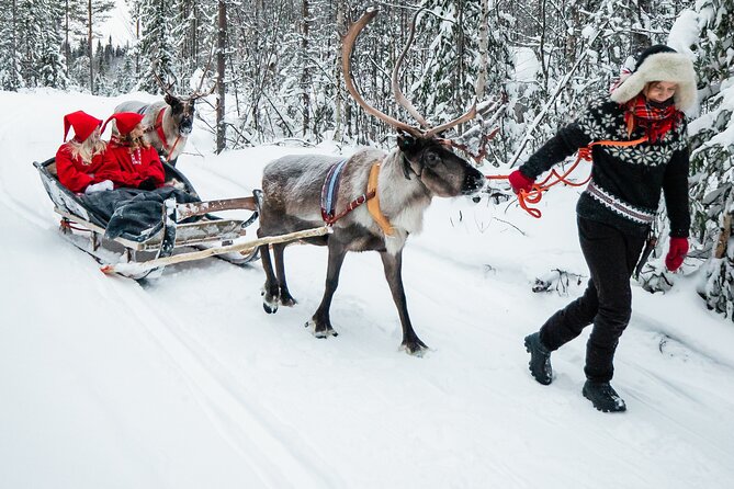 2km Sleigh Ride & Feeding Experience at Traditional Reindeer Farm - Who Will Enjoy This Rovaniemi Outing?