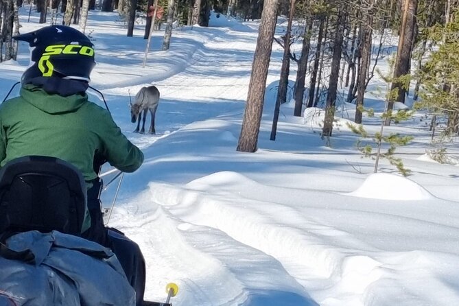 3 Days Raid Snowmobile in Finnish Lapland - Who will enjoy this most