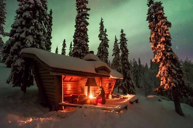 3-h Northern Light Safari by Snowmobiles From Levi - Families, passengers, and non-drivers