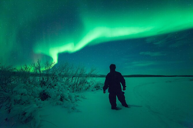 3-h Northern Light Safari by Snowmobiles From Levi - What the mixed feedback tells you