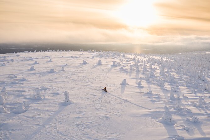 3-hour snowmobile adventure in Levi - Key points to know before booking