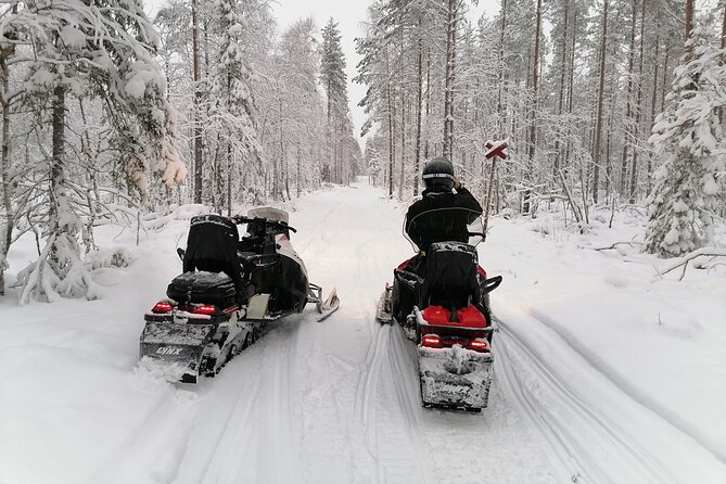 3H Private Snowmobile Experience in Rovaniemi's Forest - Booking timing and weather planning