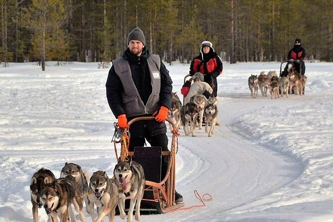 5KM Husky Sled Ride from Levi - Snowy forest views, with conditions attached