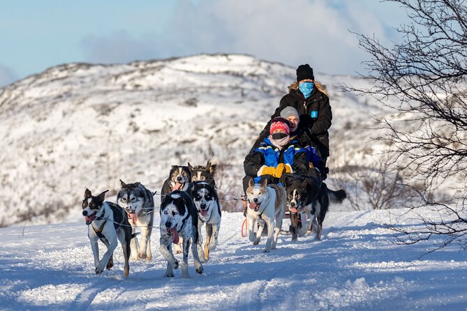 5KM Husky Sled Ride from Levi - What is included, and what you need to bring
