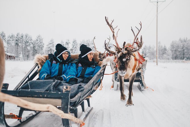 Apukka Reindeer Journey - Is $215.54 good value?