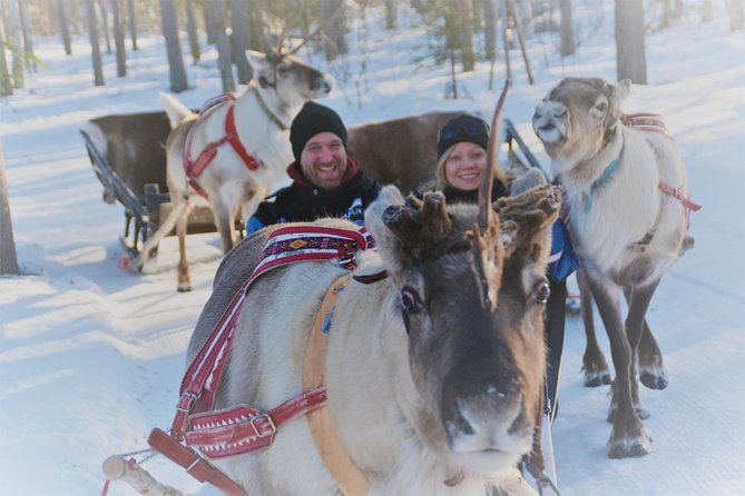 Apukka Reindeer Journey - From Rovaniemi to Apukka Resort Adventures