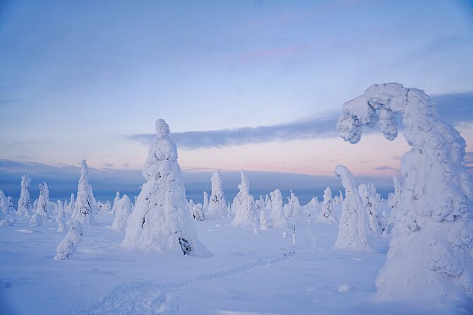 Arctic Adventure through Magical Frozen Forests of Riisitunturi - Weather, snow, and realistic expectations