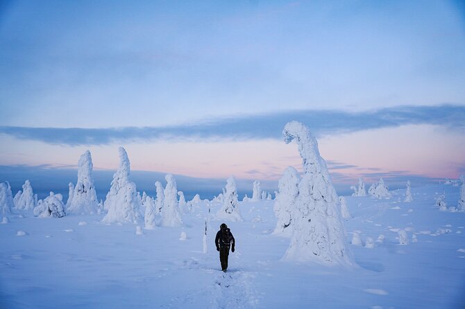 Arctic Adventure through Magical Frozen Forests of Riisitunturi - The two-hour journey east through Finnish Lapland