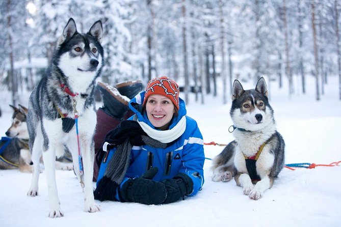 Arctic Circle Family Day - The long ride to the husky farm