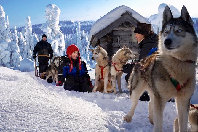 Arctic Circle Family Day - Should you book the Arctic Circle Family Day?
