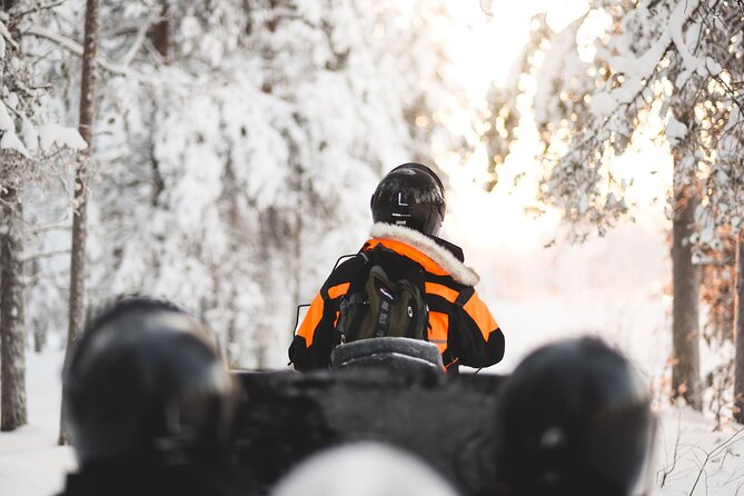 Arctic Circle Snowmobile Safari for Beginners in Rovaniemi - Riding through snowy Arctic scenery