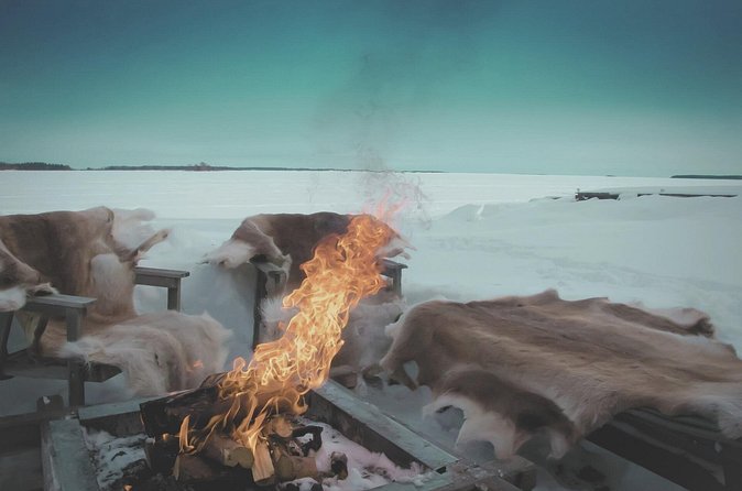 Arctic Darkness & Starlight Adventure with Snowshoes - How the Northern Lights fit into the evening