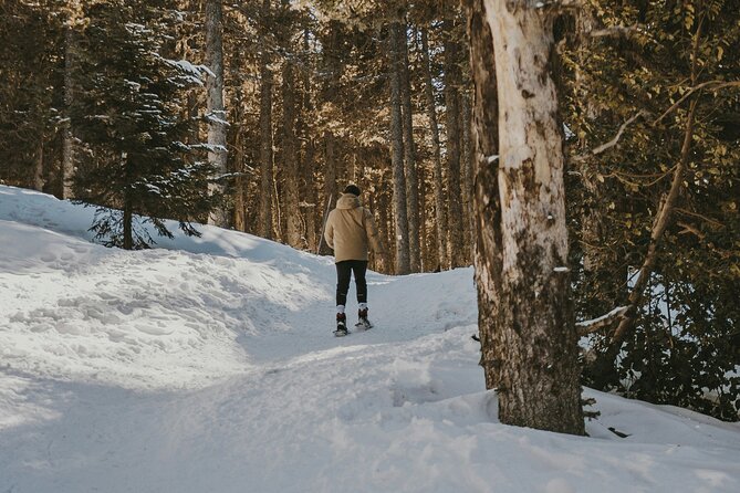 Arctic Darkness & Starlight Adventure with Snowshoes - Meeting Eveliina in central Sodankylä