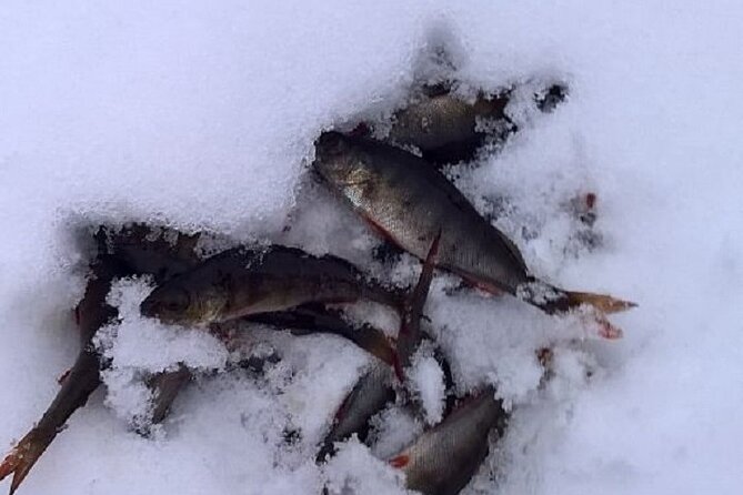 Arctic Day with Ice Fishing and Floating - Three Arctic skills packed into one Rovaniemi day