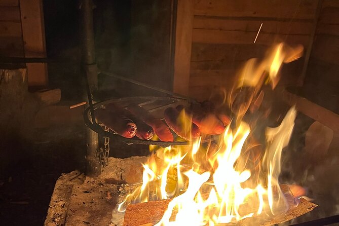 Arctic Reindeer Farm Experience with Snowshoeing in the Wild - Who should book this experience