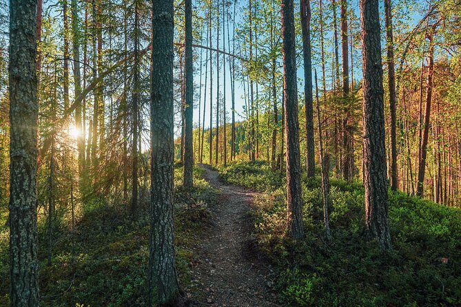 Arctic Wilderness Hike with Fire-making - Is $103.72 a fair price?