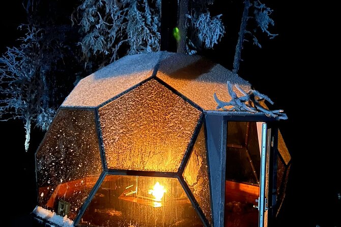 Aurora Borealis Dinner in a Glass Igloo - Who should book this experience