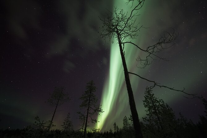 Aurora Borealis Picnic in Rovaniemi - Guides who shape the evening