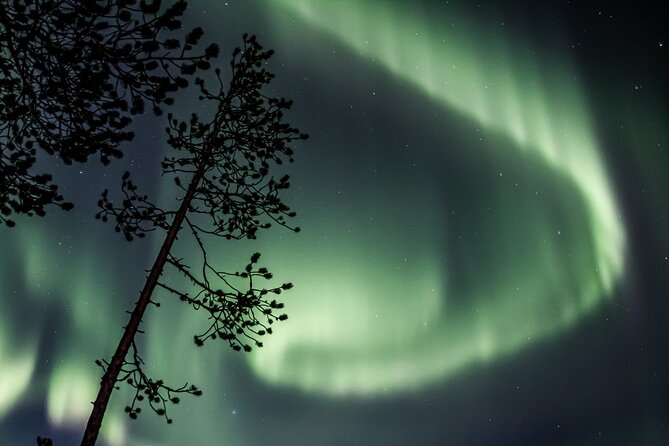 Aurora Borealis Picnic in Rovaniemi - Who should choose this Aurora picnic?