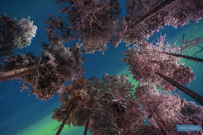 Aurora Photography Tour 3 HOURS - What the guides add to the night