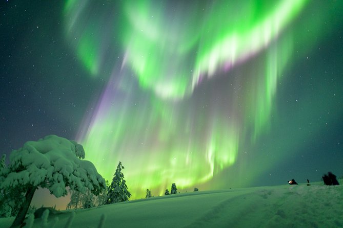 Auroras in Saariselkä – Northern Lights Photo Tour by Car and on Foot - The drive through the dark