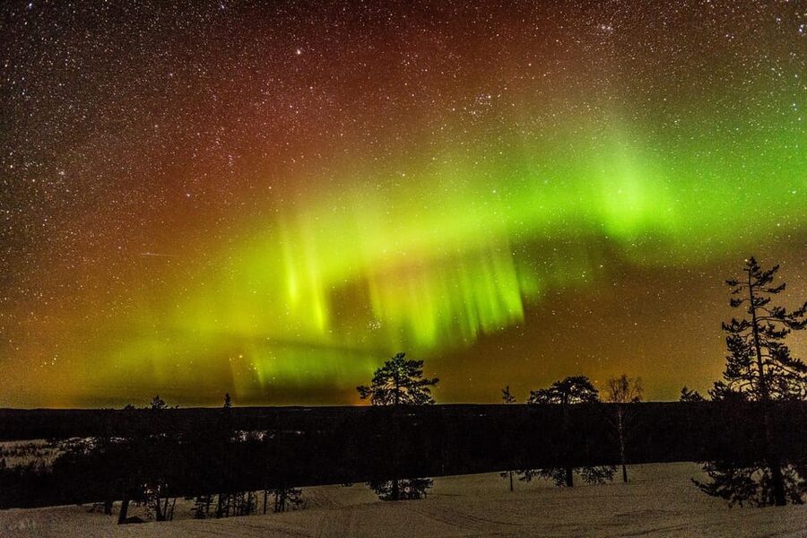 Auroras Northern Lights in Saariselka - What the experience is worth at $175