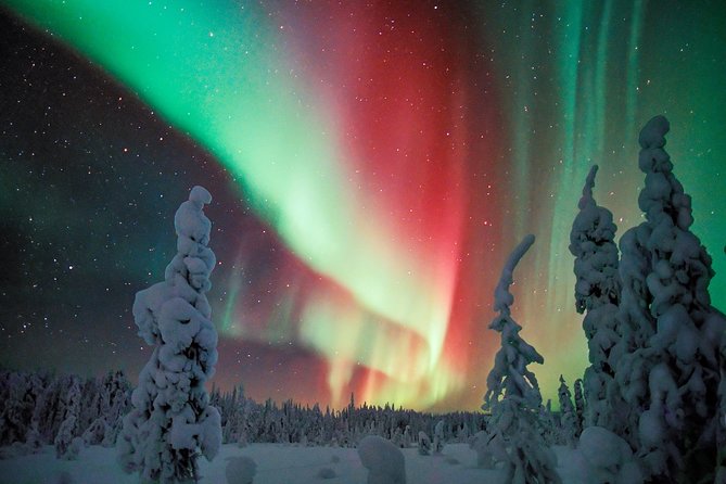 Auroras - Northern Lights Tours by Aurora Experts - Rovaniemi - The drive away from Rovaniemi’s lights