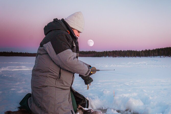 Authentic Reindeer Experience and Ice Fish with Lunch in the Wild - Meeting the reindeer at Lompolo
