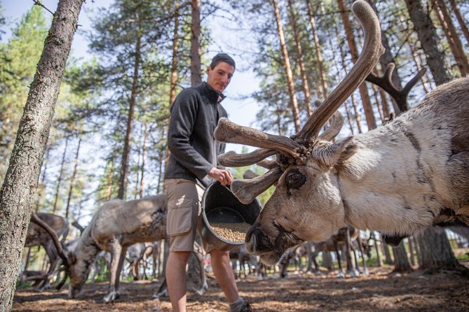 Authentic Reindeer Farm and Canoe Experience from Rovaniemi - A warm kota, coffee, and time for questions