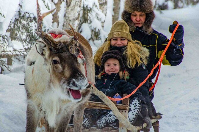 Authentic Reindeer Farm Experience in Rovaniemi - Driving a 400-meter reindeer sleigh