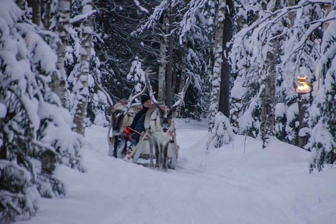 Authentic Reindeer Farm Experience in Rovaniemi - Is $120.15 a fair price?