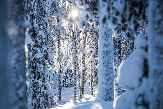 Backcountry skiing adventure - The wooden shelter and open fire