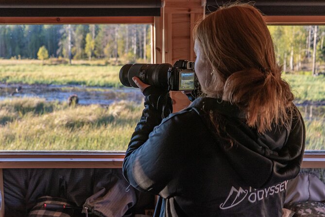 Bear and Arctic Animals 2 Day Trip from Rovaniemi - 9:00 a.m. pickup from Rovaniemi