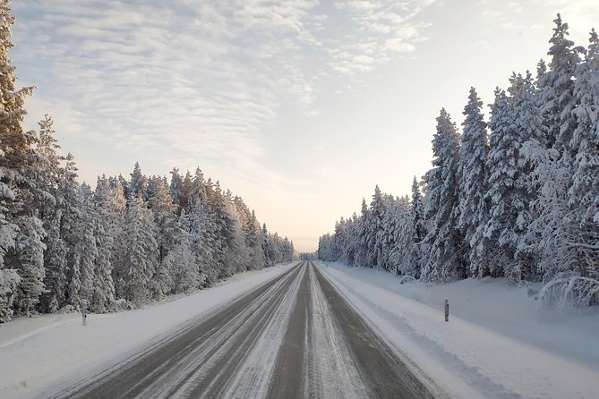 Best Of Lapland: Sauna, Ice swimming, Dinner & Northern Lights - An open-fire salmon dinner after the cold