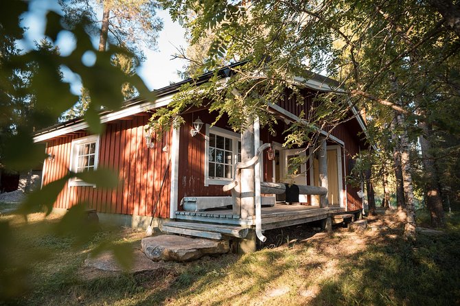 Best Of Lapland: Sauna, Ice swimming, Dinner & Northern Lights - Who will get the most from this outing