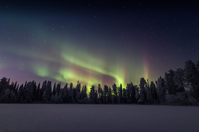 Best Of Lapland: Sauna, Ice swimming, Dinner & Northern Lights - Timing, price, and practical value