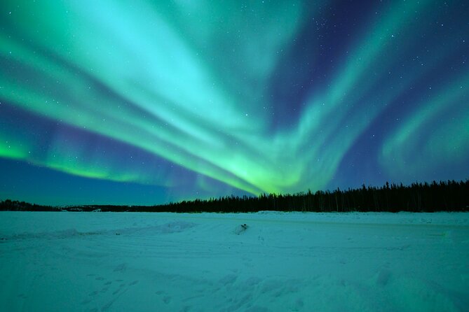 Chasing Aurora with Photographer - Small Group - Sausages and hot drinks by the fire