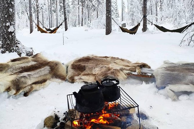Cocooning in the HaliPuu forest: The ultimate Arctic hammock relaxation - Key points to know before you book