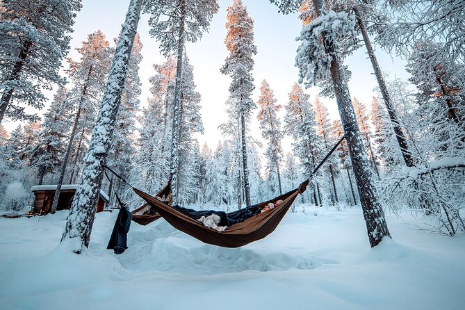Cocooning in the HaliPuu forest: The ultimate Arctic hammock relaxation - The 500-meter walk from Veitservasa