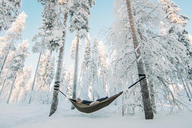 Cocooning in the HaliPuu forest: The ultimate Arctic hammock relaxation - HaliPuu’s century-old pines and the hammock cocoons